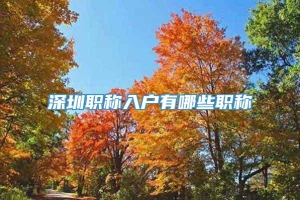 深圳職稱入戶有哪些職稱